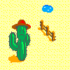 Cactus Desert