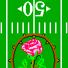 Football Field with Rose (Unused)